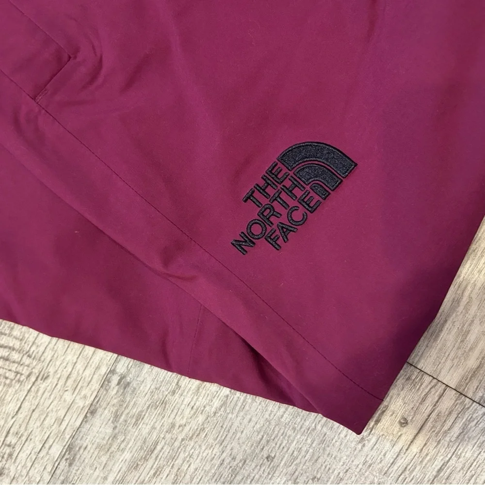 THE NORTH FACE Men's Freedom Stretch Pant, Boysenberry small/regular